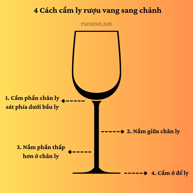 Cách cầm ly uống rượu vang đúng chuẩn