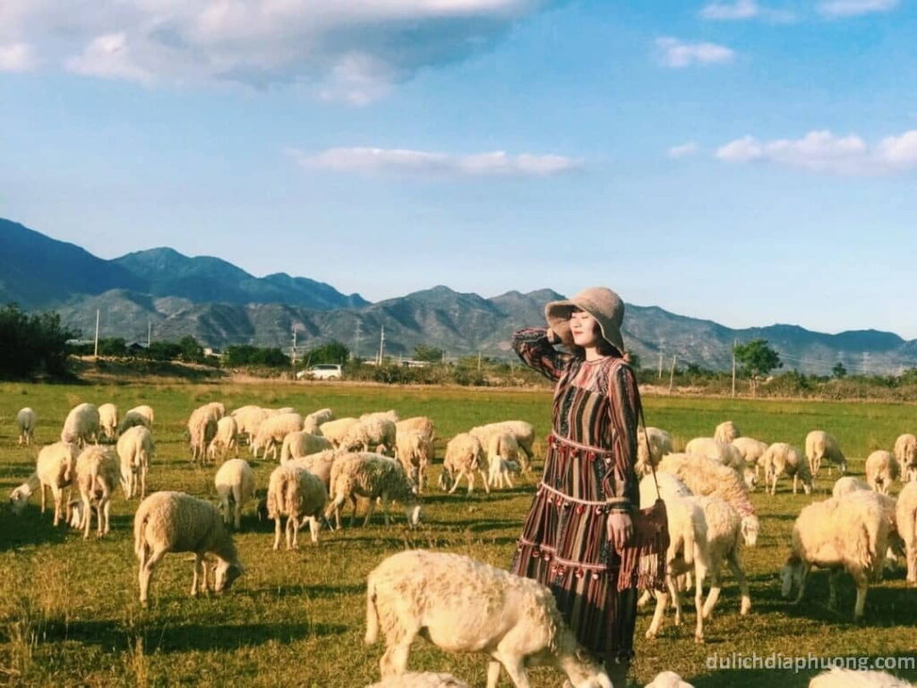 Dong Cuu An Hoa
