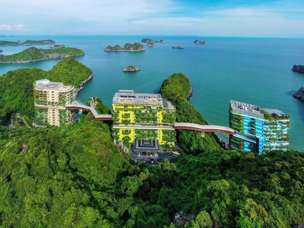 Cập Nhật Giá Vé Tàu Cao Tốc Du Lịch Cát Bà 2025