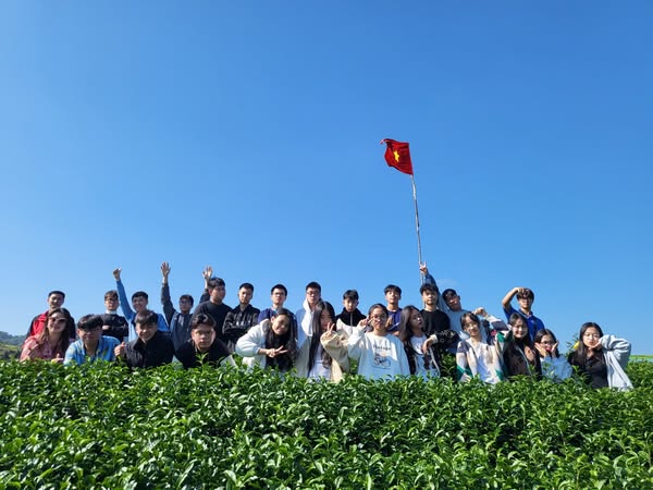 Khám Phá Những Địa Điểm Tham Quan Không Nên Bỏ Qua Tại Mộc Châu