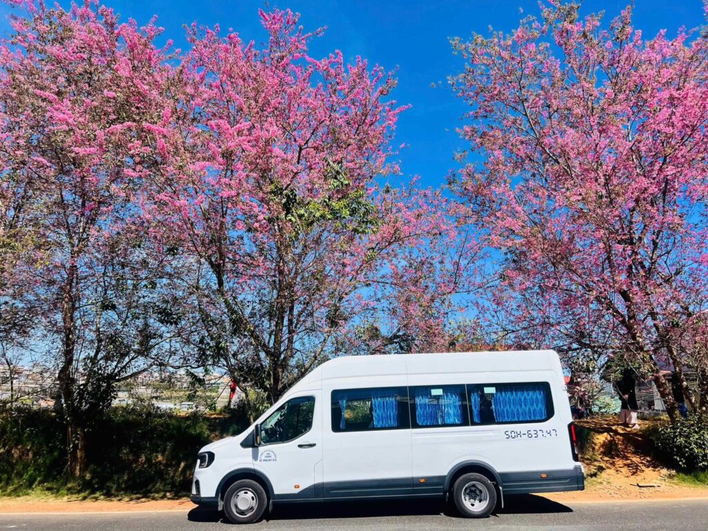 Thuê Xe Du Lịch là một trong Các Loại Hình Dịch Vụ Thuê Xe 18 Chỗ