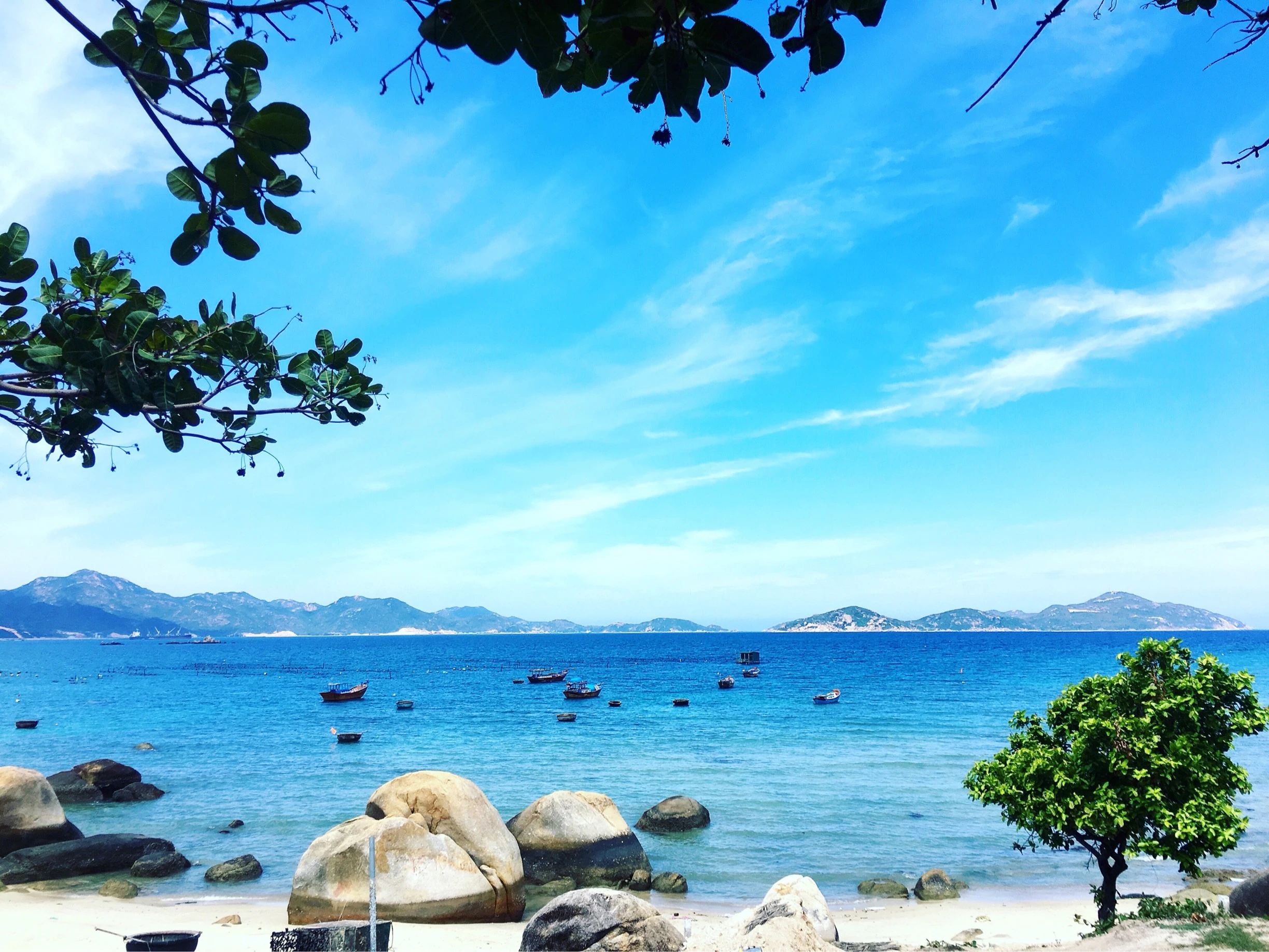 Những Món Ăn Trứ Danh Làm Say Lòng Du Khách Khi Du Lịch Phan Rang