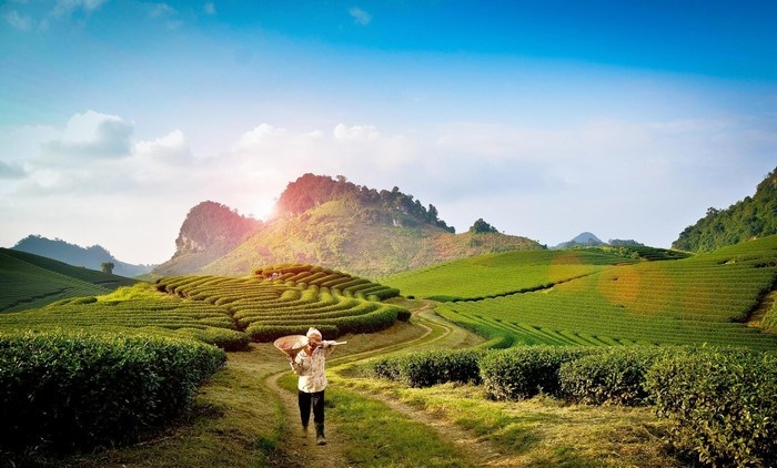 Cách Lên Kế Hoạch Du Lịch Mộc Châu 3 Ngày 2 Đêm