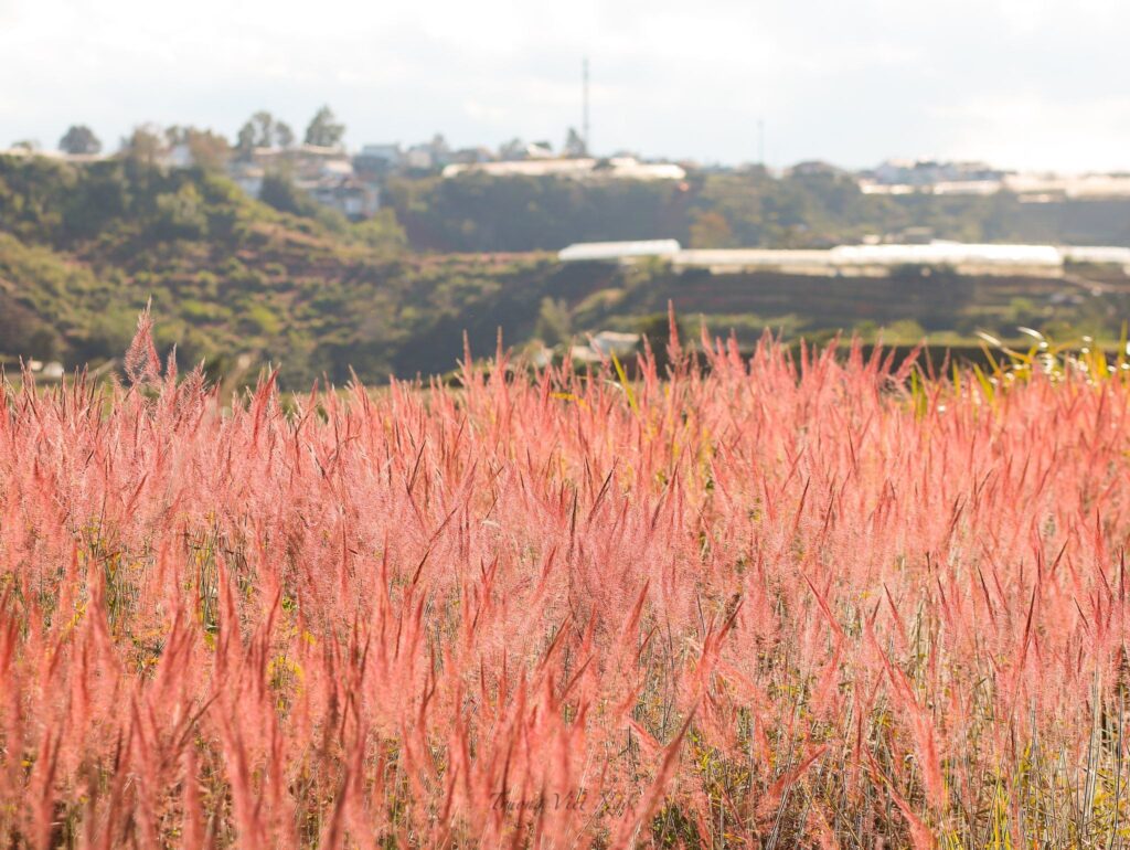 599941876 1397510388405053 1964978910079341758 n