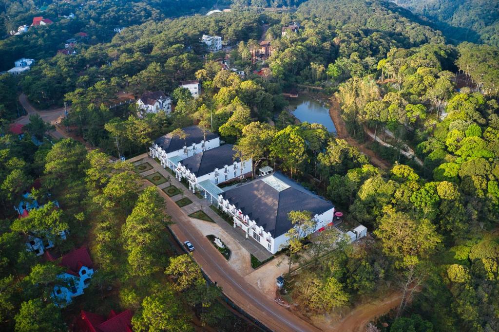 Khám Phá Chi Phí Tour Măng Đen 3 Ngày 2 Đêm Và Những Dịch Vụ Đi Kèm