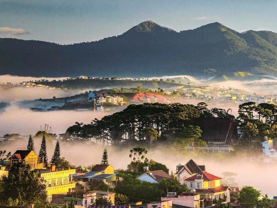 Kinh Nghiệm Đi Đà Lạt 2 Ngày 1 Đêm Bạn Không Nên Bỏ Qua